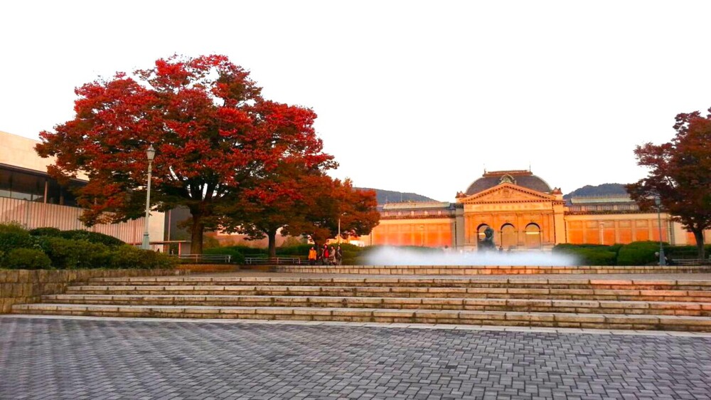 京都国立博物館のケヤキの紅葉　2016年11月5日　撮影：MKタクシー