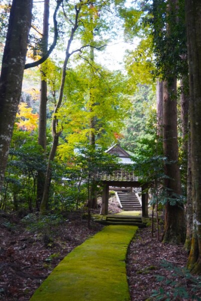 廣峯神社　2023年11月23日　撮影：MKタクシー