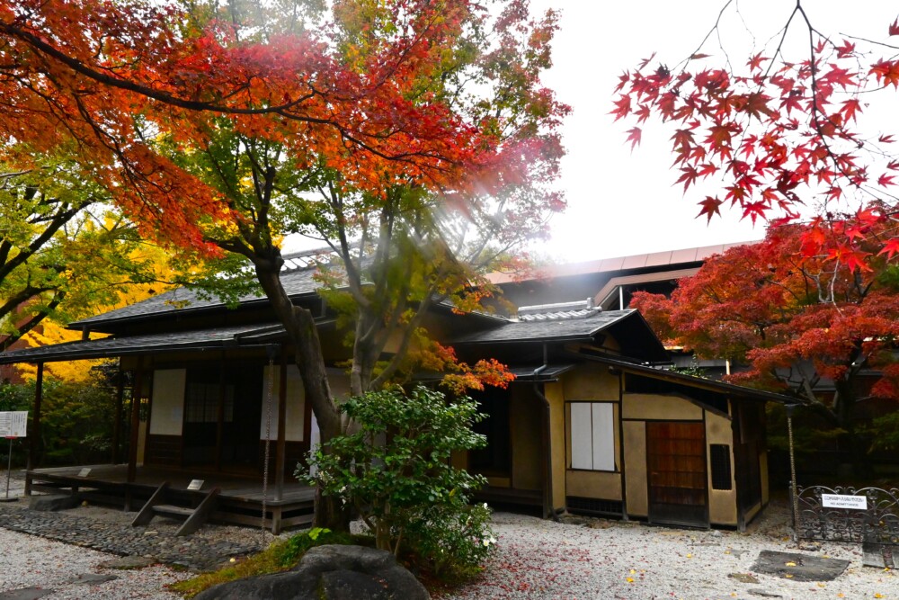 京都国立博物館の茶室「堪庵」と紅葉　2022年11月20日　撮影：MKタクシー
