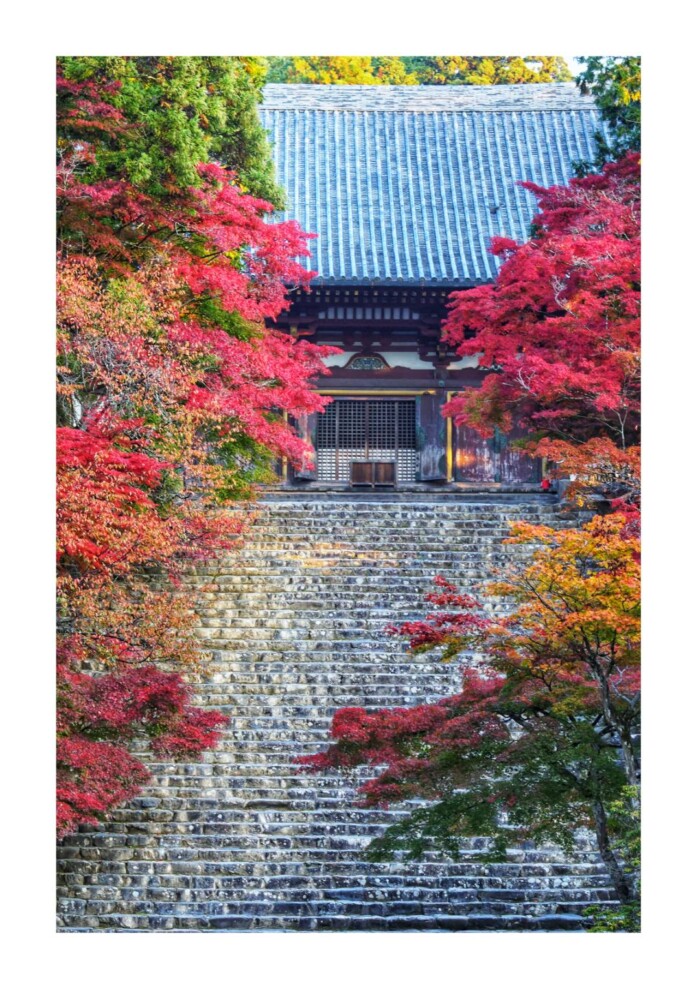 山間部　高雄神護寺の色付き具合　2022年11月7日　撮影：MKタクシー