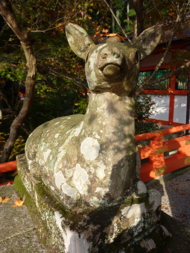 大原野神社・狛鹿と紅葉　2010年11月27日　撮影：MKタクシー