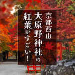 京都西山「大原野神社」の紅葉がすごい！狛鹿と紅葉のトンネルが美しい穴場スポット