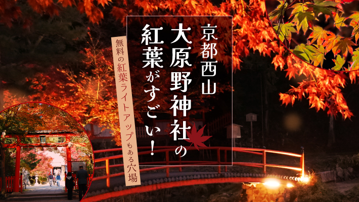 京都西山「大原野神社」の紅葉がすごい！無料の紅葉ライトアップもある穴場