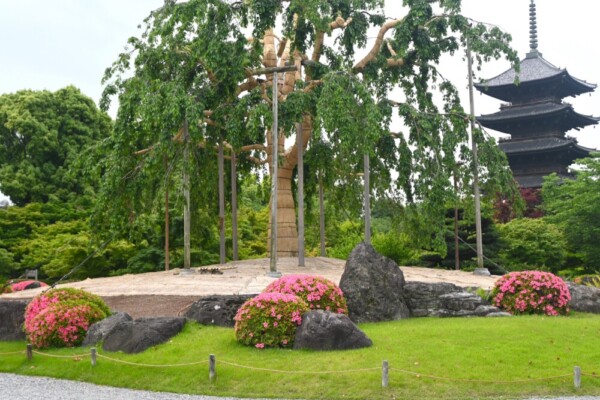 朝の東寺弘法市　2025年5月21日　撮影：MKタクシー