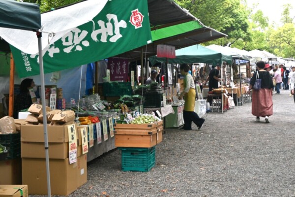 朝の東寺弘法市　2025年5月21日　撮影：MKタクシー