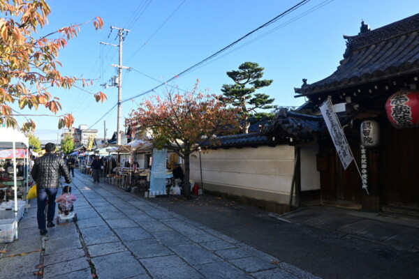 朝の観智院　2024年11月21日　撮影：MKタクシー