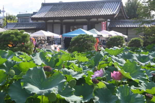 朝の東寺弘法市　2025年8月21日　撮影：MKタクシー