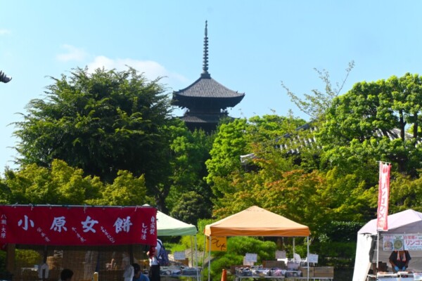 朝の東寺弘法市　2025年8月21日　撮影：MKタクシー