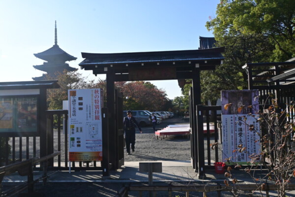 朝の東寺弘法市　2024年11月21日　撮影：MKタクシー