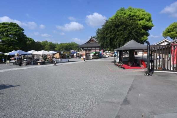 朝の東寺弘法市　2025年8月21日　撮影：MKタクシー