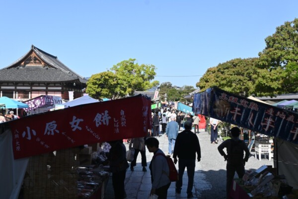 朝の東寺弘法市　2025年4月21日　撮影：MKタクシー
