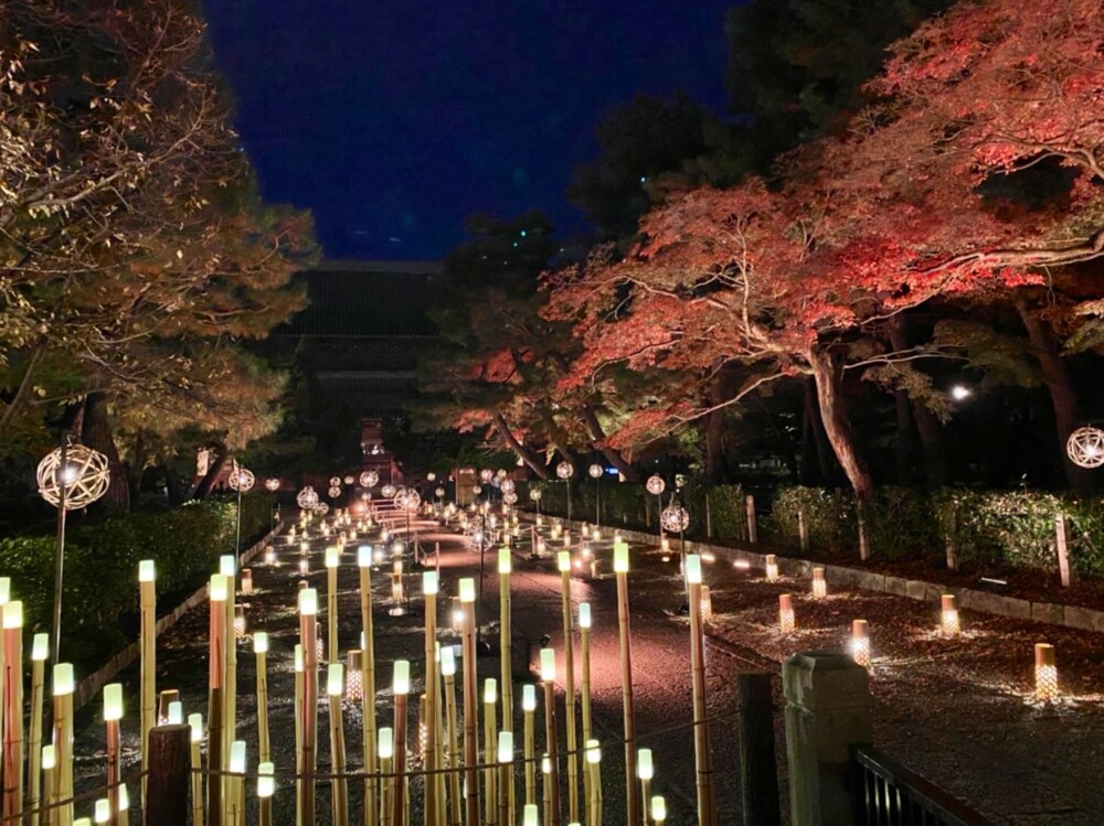 建仁寺の夜間特別拝観の内覧会　2022年11月22日　撮影：MKタクシー