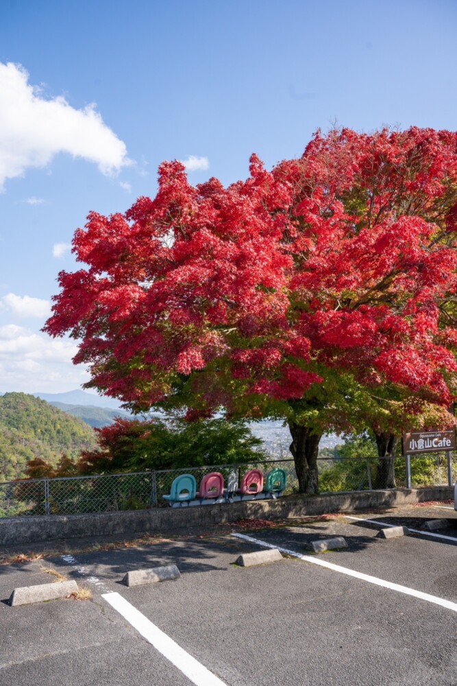 嵐山高雄パークウェイ・小倉山展望台の紅葉　見頃近し　2022年11月3日　撮影：MKタクシー