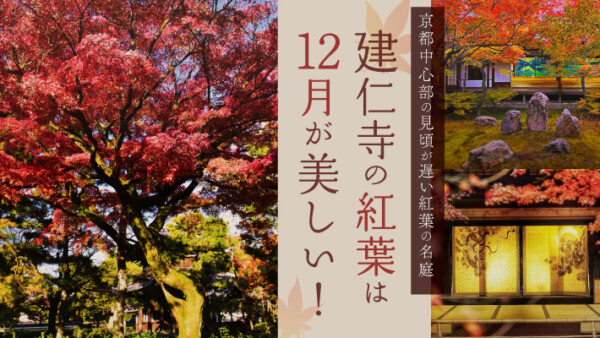 建仁寺の紅葉は12月が美しい！京都中心部の見頃が遅い紅葉の名庭