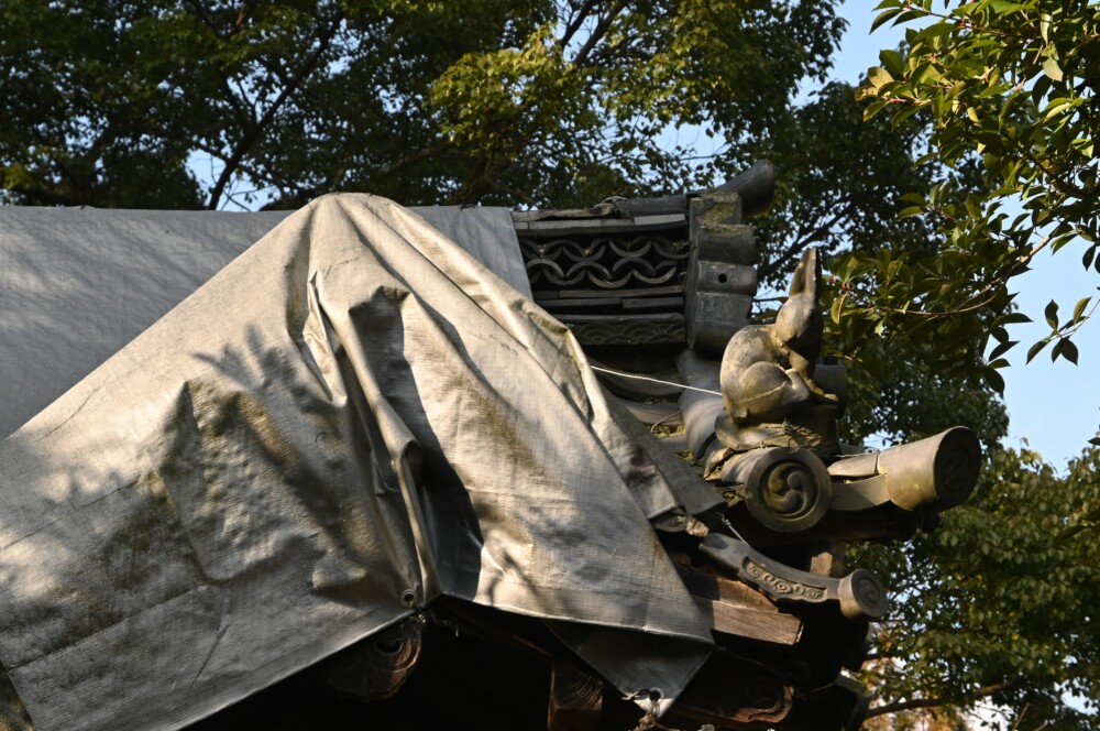 三尾神社西門の見返りうさぎ　2023年1月8日　撮影：MKタクシー