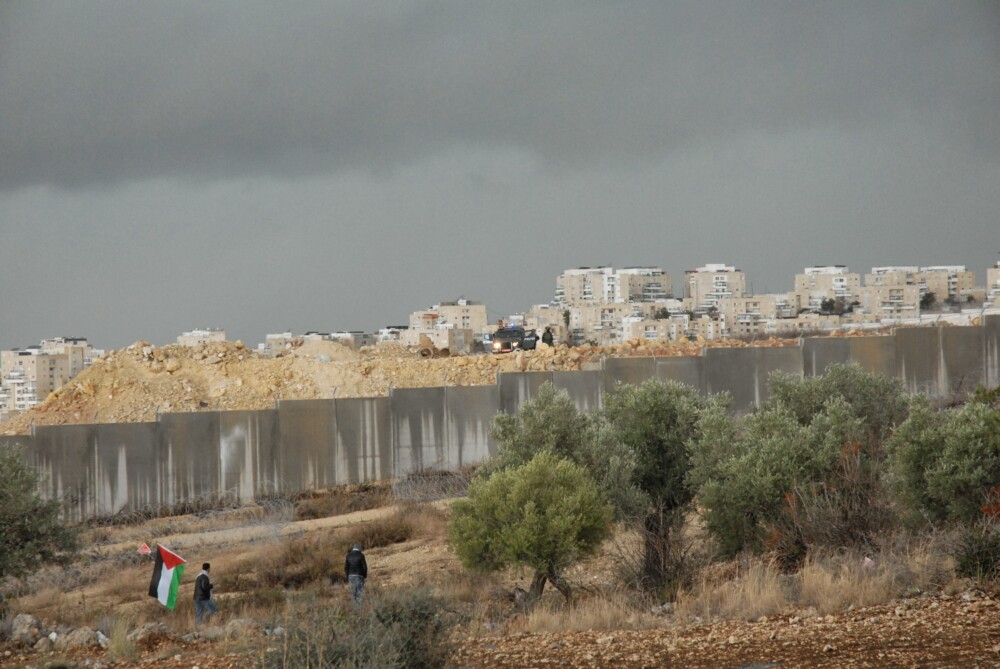 違法国境線 手前：オリーブの木、奥：イスラエルによる違法入植地