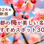 【2024年最新版】京都の梅が美しい名所おすすめスポット30選