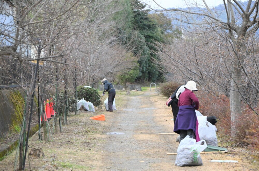 淀水路の清掃ボランティア活動　2023年2月25日　撮影：MKタクシー
