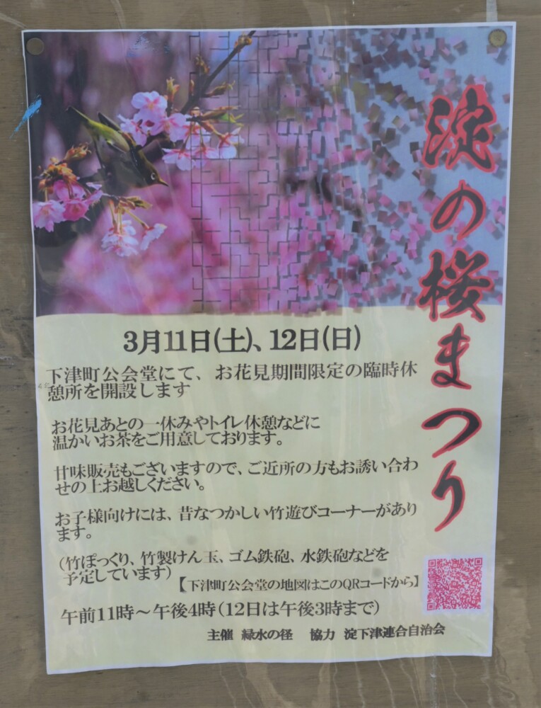 淀の桜まつりのチラシ　2023年3月11日　撮影：MKタクシー