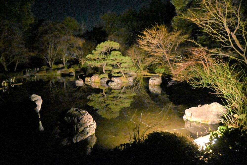 城南宮・平安の庭のライトアップ　2023年2月27日　撮影：MKタクシー