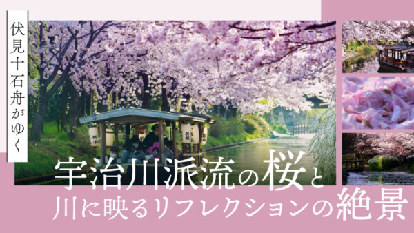伏見十石舟がゆく宇治川派流の桜と川に映るリフレクションの絶景