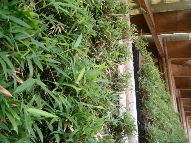 長久手日本館。竹が植わっている壁はしめっていてひんやり。待っていても全然ストレスがありませんでした。京都や東京のピルもぜひこの工法を採用して欲しい
