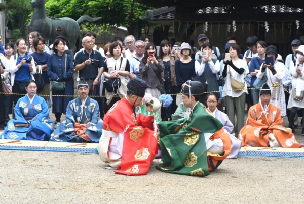 藤森神社の蹴鞠奉納　2025年6月15日　撮影：MKタクシー