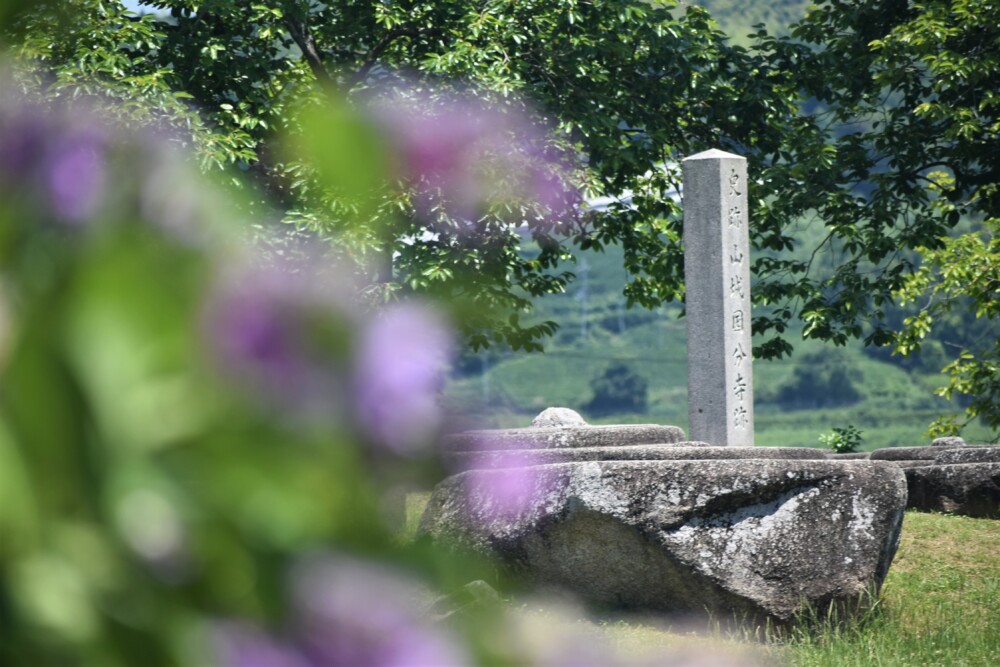 山城国分寺跡の石碑とあじさい　2023年6月20日　撮影：MKタクシー