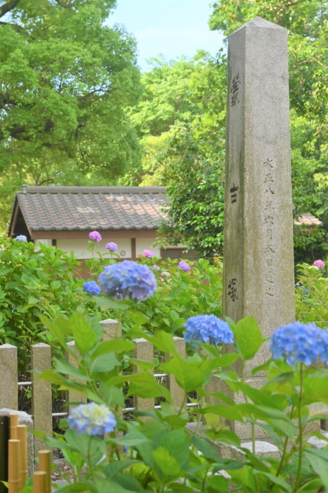 藤森神社の蒙古塚とあじさい　2023年6月1日　撮影：MKタクシー