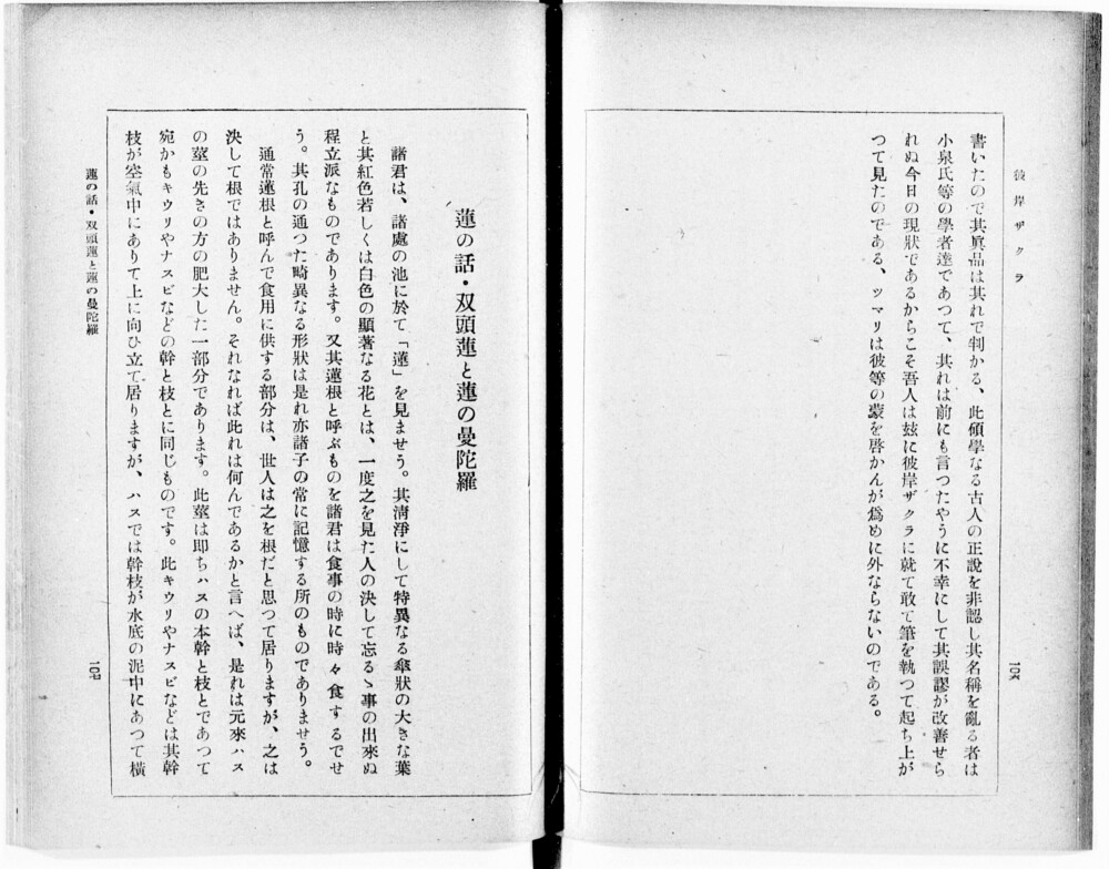 牧野富太郎「植物記」出典：国立国会図書館デジタルコレクション