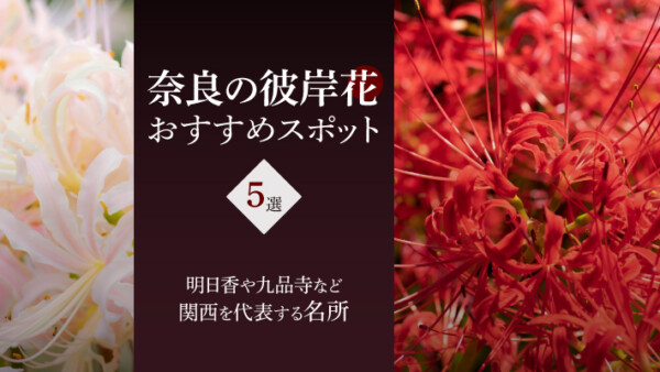 奈良の「彼岸花」おすすめスポット5選！明日香や九品寺など関西を代表する名所