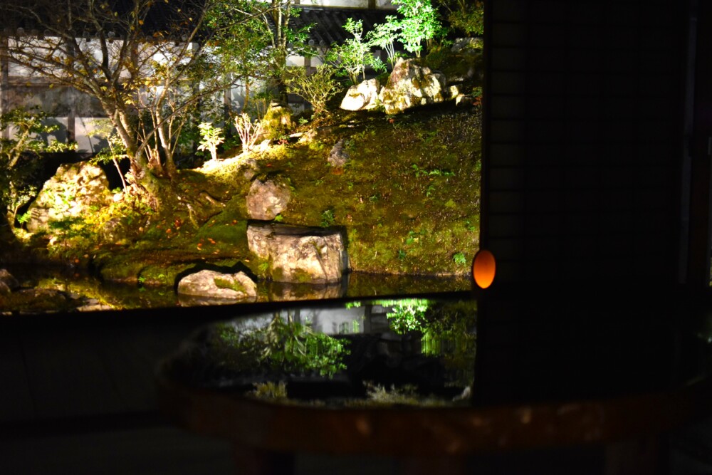 浄住寺方丈庭園のライトアップと漆塗りの机　2023年11月17日　撮影：MKタクシー