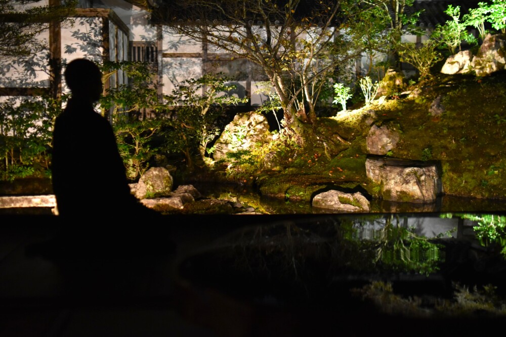浄住寺方丈庭園のライトアップと漆塗りの机　2023年11月17日　撮影：MKタクシー