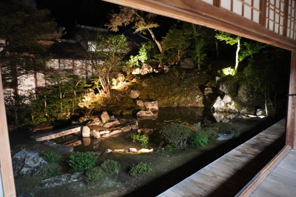 浄住寺方丈庭園のライトアップ　2023年11月17日　撮影：MKタクシー