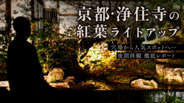 京都浄住寺の紅葉ライトアップ：穴場から人気スポットへ、夜間拝観徹底レポート