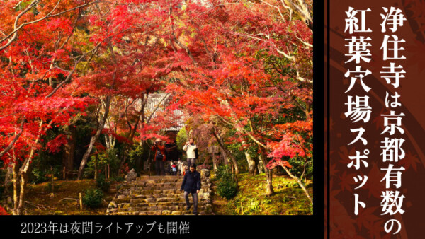 「浄住寺」は京都有数の紅葉穴場スポット！2023年は夜間ライトアップも開催