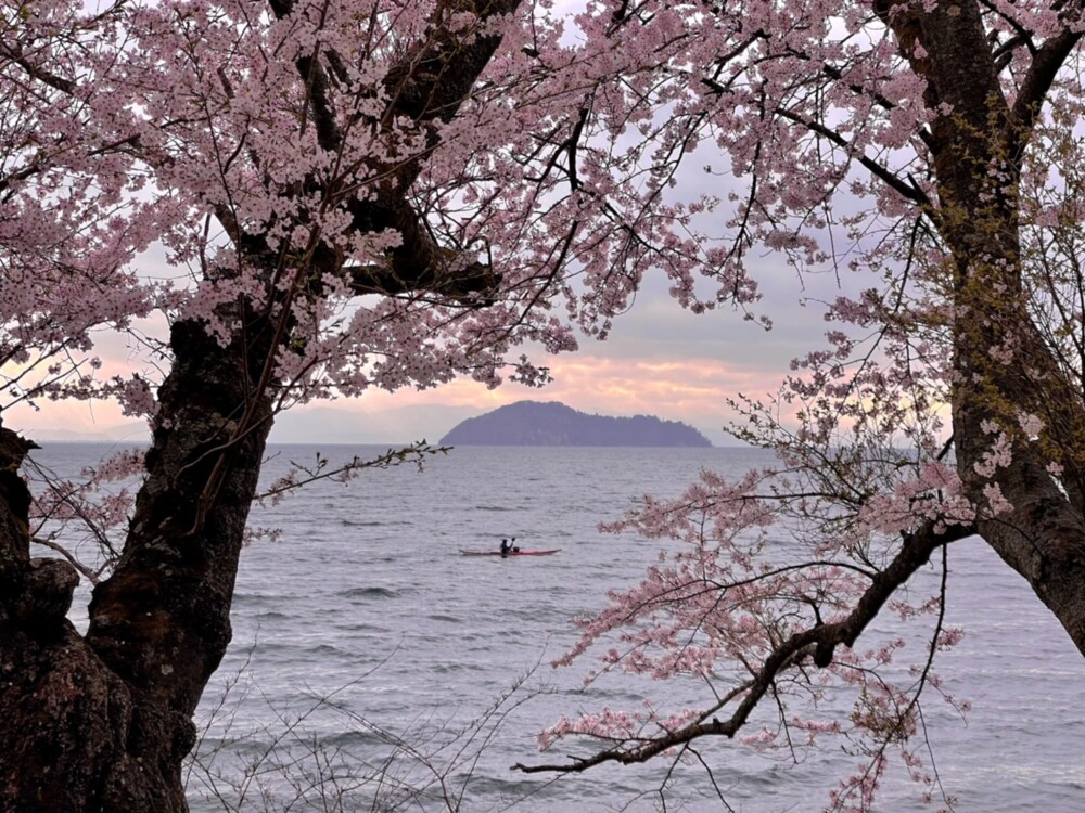 海津大崎より竹生島遠望　2021年4月2日　撮影：MKタクシー