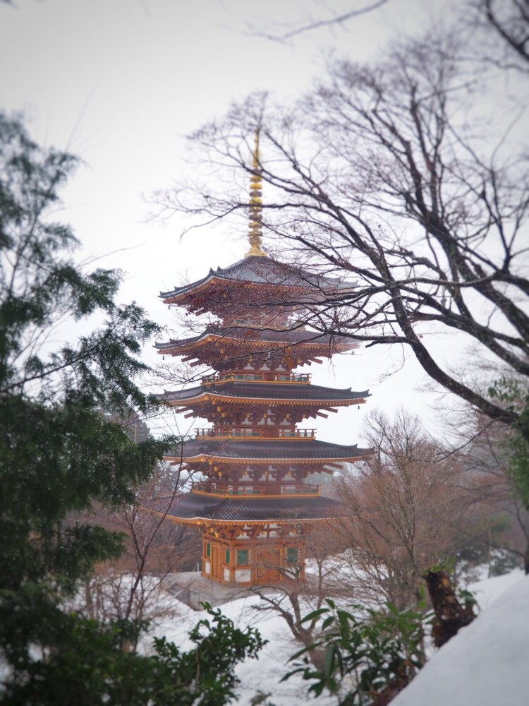 雪の成相寺　2022年2月1日　撮影：MKタクシー