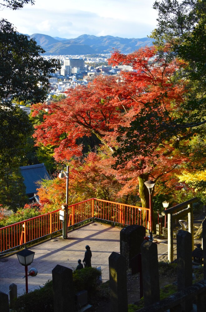 霊山護国神社の坂本龍馬墓と紅葉　2023年11月25日　撮影：MKタクシー