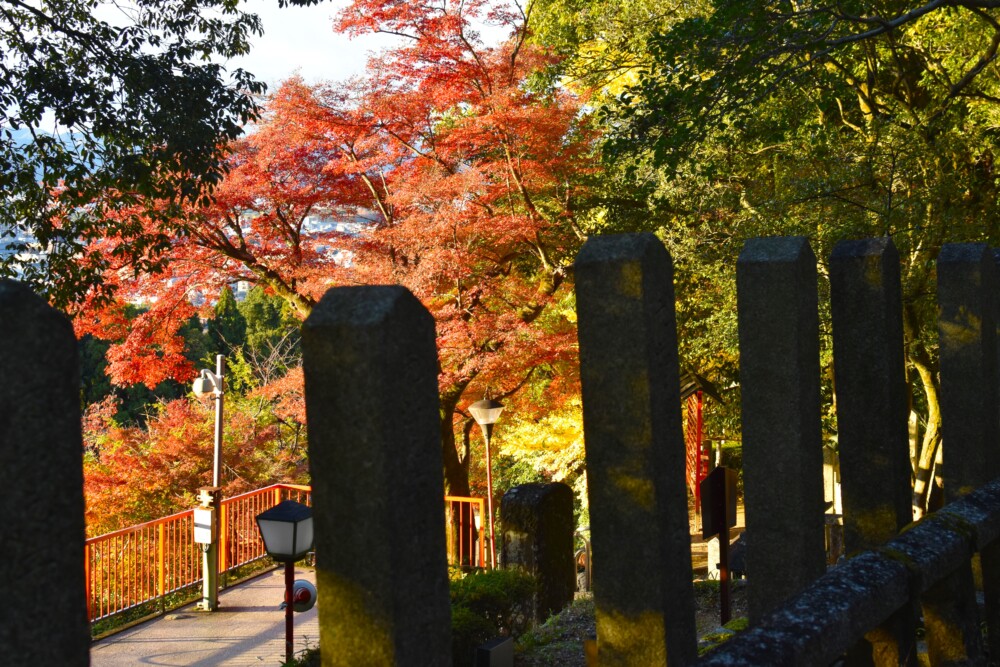 霊山護国神社の池田屋事件の犠牲者らの墓と紅葉　2023年11月25日　撮影：MKタクシー