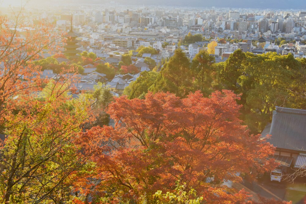 霊山護国神社から見た八坂の塔と紅葉　2023年11月25日　撮影：MKタクシー