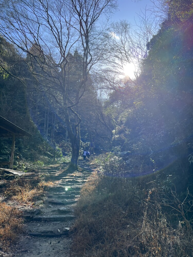 階段が続く施福寺の参道