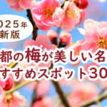 【2025年最新版】京都の梅が美しい名所おすすめスポット30選