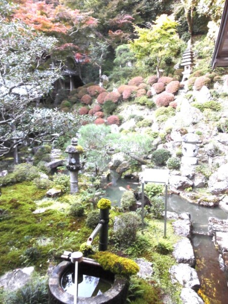 まだあじさいが生けられていない花手水が始まる前年の2016年に「庭手水」と名勝庭園