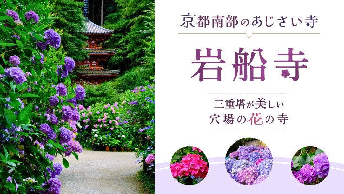 京都南部のあじさい寺「岩船寺」は三重塔が美しい穴場の花の寺