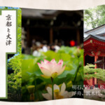 京都と大津の紫式部「源氏物語」ゆかりの地を巡る