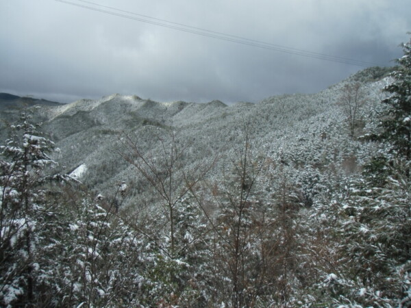 雪の高野山　2014年3月21日　撮影：MKタクシー