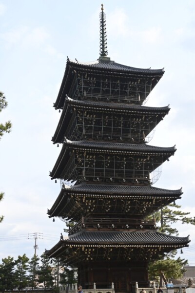 善通寺　2024年1月7日　撮影：MKタクシー