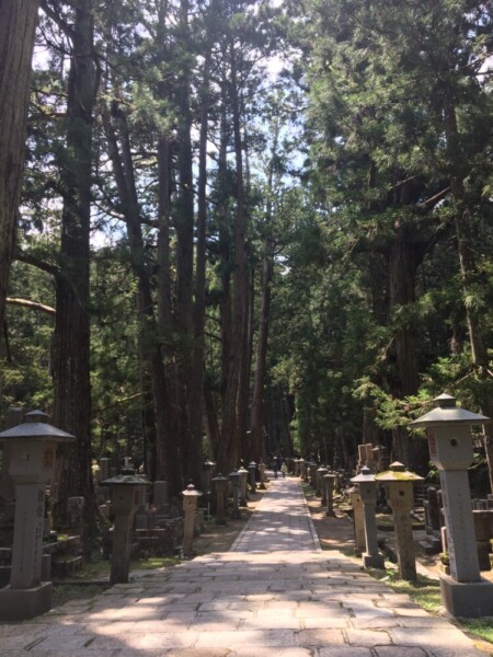 高野山の奥の院　2021年6月1日　撮影：MKトラベル