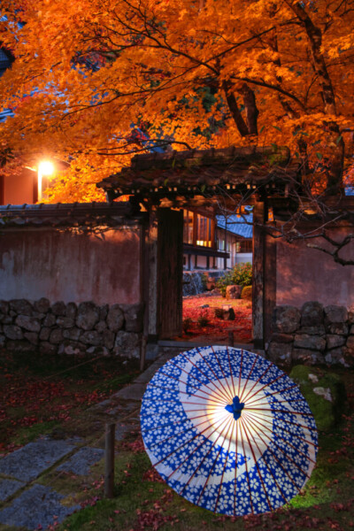 大梅山法常寺の紅葉ライトアップ　2024年11月30日　提供：junichiro.takikawa